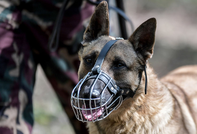 HM EI Őrzés-védelem